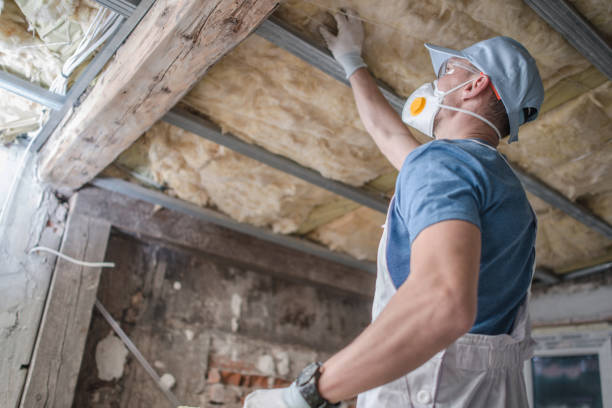 Best Insulation Contractors for Homes  in Rutherford College, NC