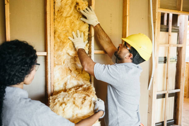 Best Garage Insulation Installation  in Rutherford College, NC