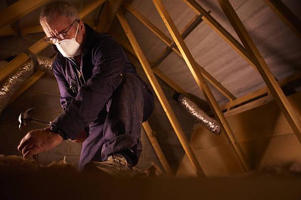 Best Professional Insulation Contractor  in Rutherford College, NC