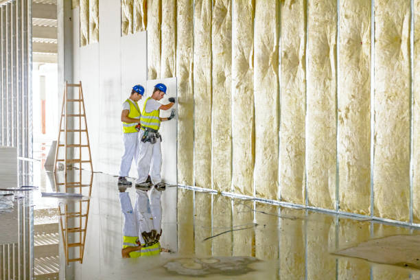 Best Residential Insulation Services  in Rutherford College, NC